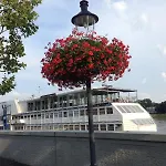 ボテル グラシア
